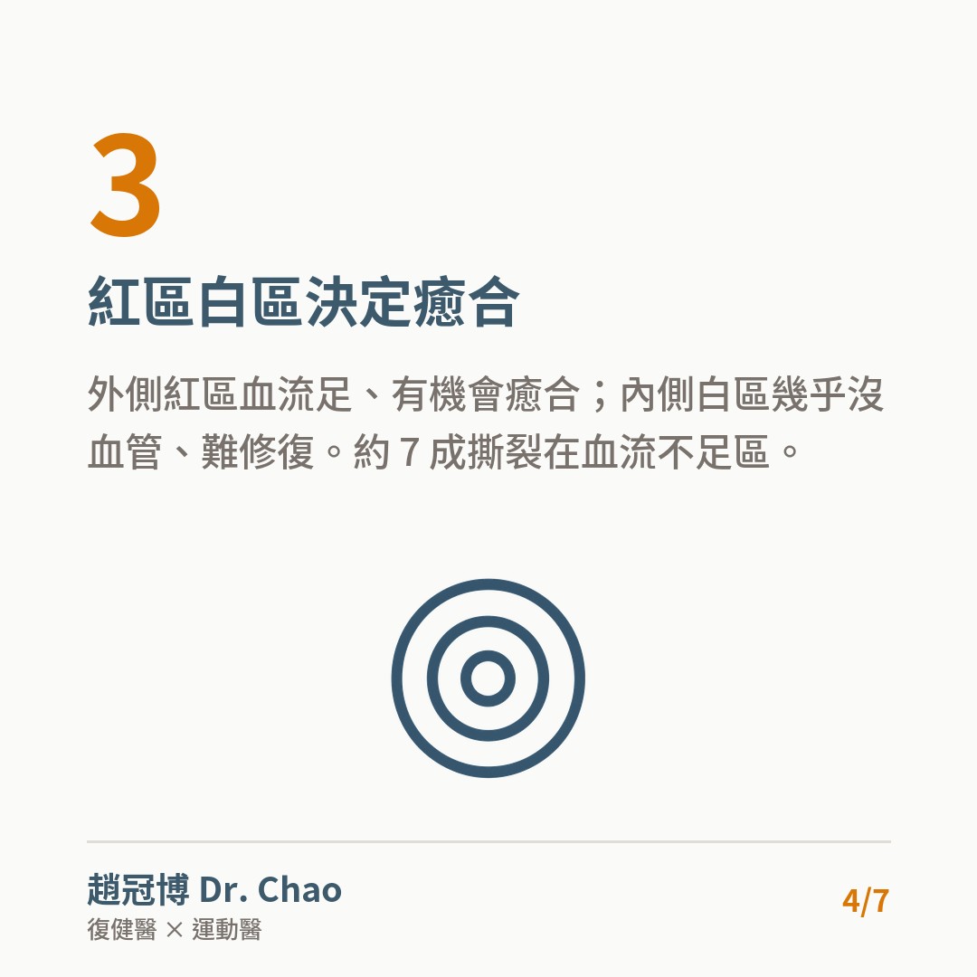 紅區白區決定癒合